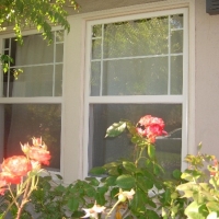 Vinyl windows