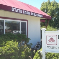 statefarm-after