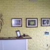 window-showroom12