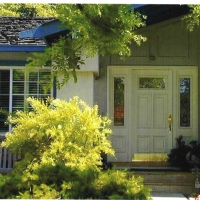replacement-doors-5