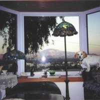 specialty-window-1