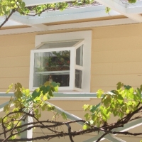 specialty-window-4