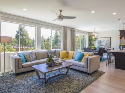 Anlin Windows Interior